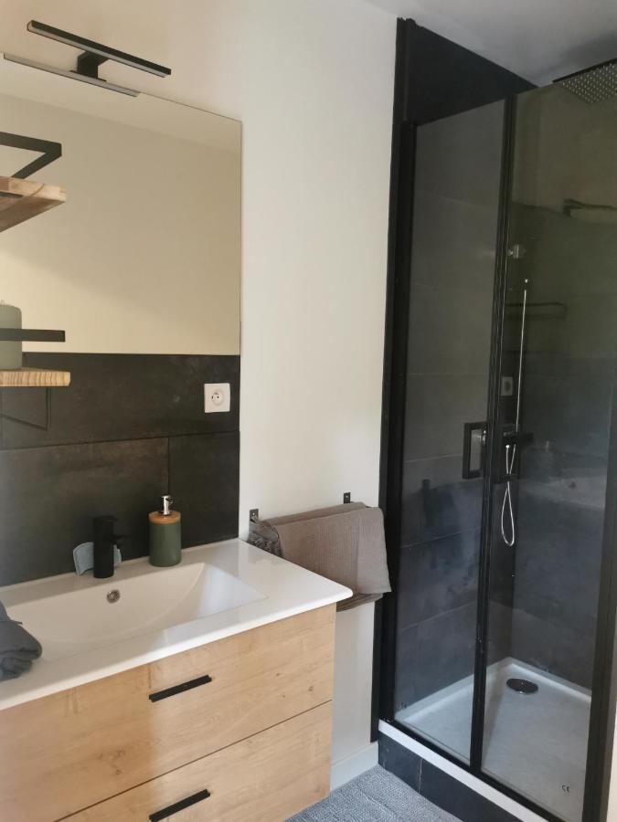 Charmant Appartement A 1 Minute Du Lac Анси Екстериор снимка